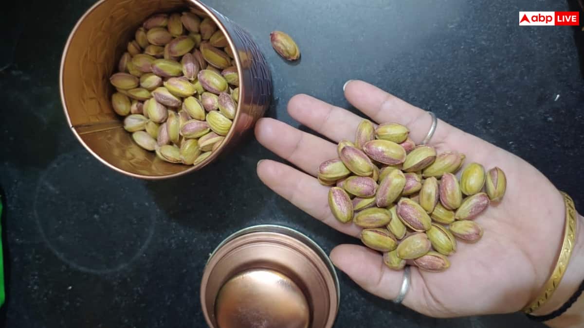 अब घर पर उगाइए पिस्ता का पौधा, सही तरीका अपनाकर पा सकते हैं अपना छोटा-सा गार्डन
