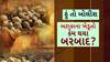 Hun To Bolish : હું તો બોલીશ : બટાકાના ખેડૂતો કેમ થયા બરબાદ?