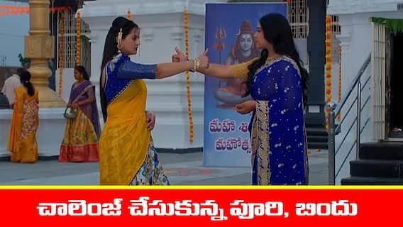 Meghasandesam Serial Today march 17th: ‘మేఘసందేశం’ సీరియల్: పూరికి చాలెంజ్ చేసిన బిందు – సైకియాట్రిస్ట్ను కలవమన్న పూరి Meghasandesam Serial Today march 17th: ‘మేఘసందేశం’ సీరియల్: పూరికి చాలెంజ్ చేసిన బిందు – సైకియాట్రిస్ట్ను కలవమన్న పూరి