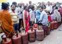 LPG Gas Crisis: तुमचा गॅस सिलिंडर एक्सपायर तर झालेला नाही ना? कसं कराल चेक? जाणून घ्या