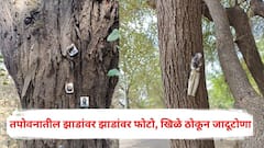 नाशिकमध्ये धक्कादायक प्रकार, तपोवनातील झाडांवर झाडांवर फोटो, बिब्बे अन् खिळे ठोकून जादूटोणा; पर्यावरणप्रेमी संतप्त