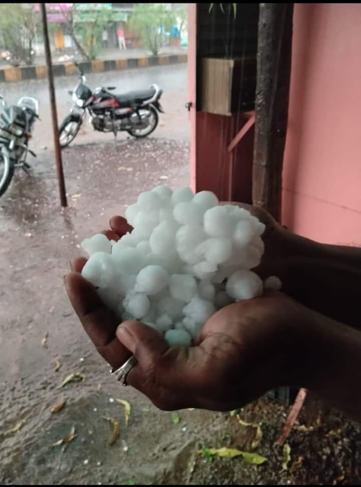 अवकाळी पाऊस आणि गारपिटीमुळे शेतकऱ्यांच्या चिंतेत भर पडली आहे, दरम्यान, पुढील काही दिवस अवकाळीचा अंदाज वर्तवण्यात आला आहे.