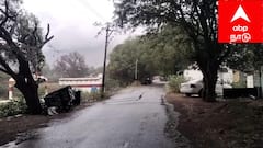 உசிலம்பட்டியில் சூறைக்காற்று: மின் தடை, இருளில் தவித்த மக்கள்.. பொதுத்தேர்வு மாணவர்களுக்கு ஏற்பட்ட பாதிப்பு!