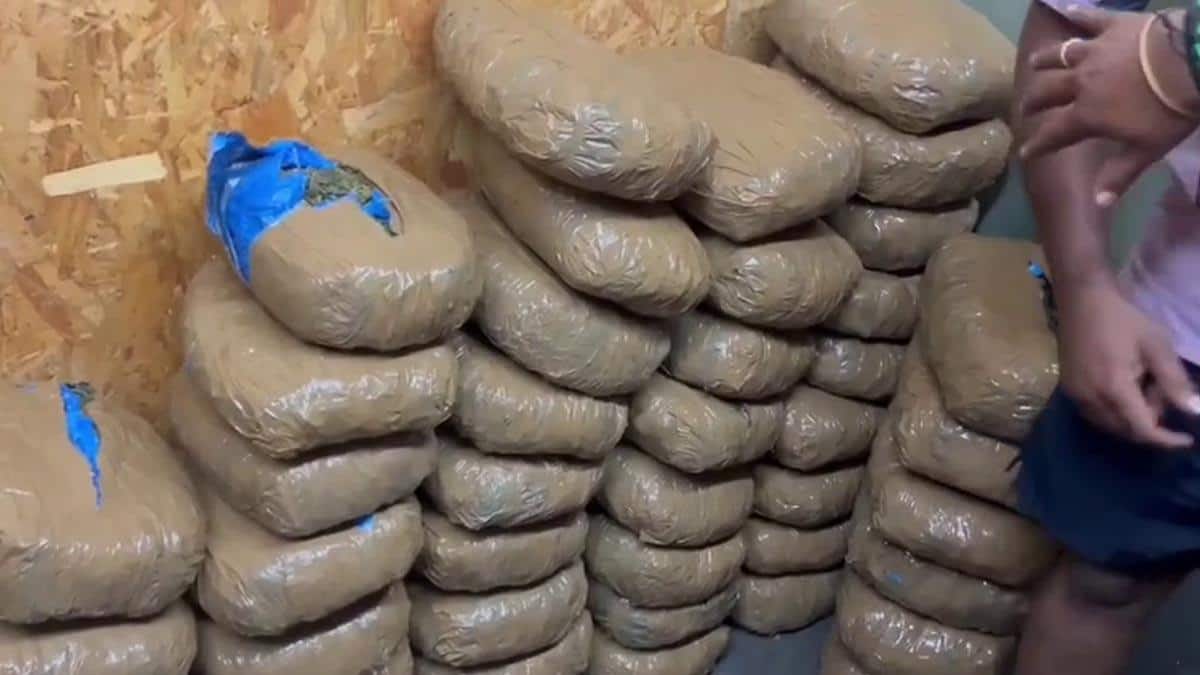 கோவை குனியமுத்தூர் அதிரடி! 100 கிலோ கஞ்சா பறிமுதல், பெரும் பரபரப்பு: பின்னணியில் பெரிய நெட்வொர்க்கா?