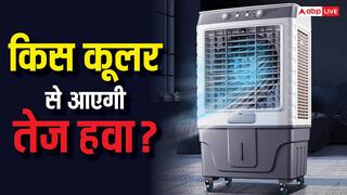 3 या 5 ब्लेड वाला, किस कूलर से मिलेगी ठंडी-ठंडी और तेज हवा? यहां जान लें सब कुछ