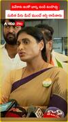 వివేకాకు ఇంకో భార్య ఉండి ఉండొచ్చు