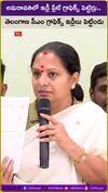 అమ‌రావ‌తిలో ఇడ్లీ ప్లేట్ గ్రాఫిక్స్ పెట్టిర్రు.. తెలంగాణ సీఎం గ్రాఫిక్స్ ఇడ్లీలు పెట్టిండు