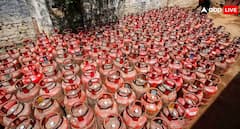 વોટ્સએપથી કેવી રીતે બુક કરી શકશો LPG સિલિન્ડર? આ રીતે મેળવો લાંબી લાઈનથી છૂટકારો