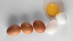 दुनिया में कहां खाए जाते हैं सबसे ज्यादा अंडे, जानें अपने भारत का नंबर?