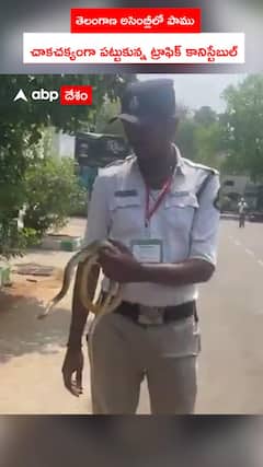 తెలంగాణ అసెంబ్లీలో పాము.. చాకచక్యంగా పట్టుకున్న ట్రాఫిక్ కానిస్టేబుల్