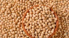 Chickpeas Benefits: શેકેલા, પલાળેલા કે બાફેલા, સ્વાસ્થ્ય માટે કયા ચણા છે સૌથી વધુ ફાયદાકારક?
