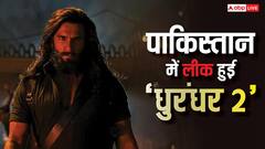 बैन के बावजूद पाकिस्तान में लीक हो गई 'धुरंधर 2', जानें- कैसे धडल्ले से रणवीर सिंह की फिल्म देख रहे लोग