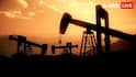 Oil: સૌથી વધુ તેલ ઉત્પાદન કરતા ટોપ-10 દેશોની યાદી જાહેર, જાણો કોણ છે પ્રથમ ક્રમે, ભારત કેટલામાં નંબરે?