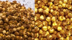 Roasted Chana: ડાયાબિટીસથી લઈ કોલેસ્ટ્રોલ સુધી શેકેલા ચણાના જાણો 5 અદભુત ફાયદા