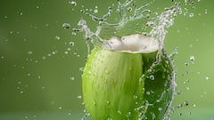 Hydration Drinks: ગ્લુકોઝ કે નારિયેળ પાણી, કયું પીણું શરીરને ઝડપથી હાઇડ્રેટ કરે છે?