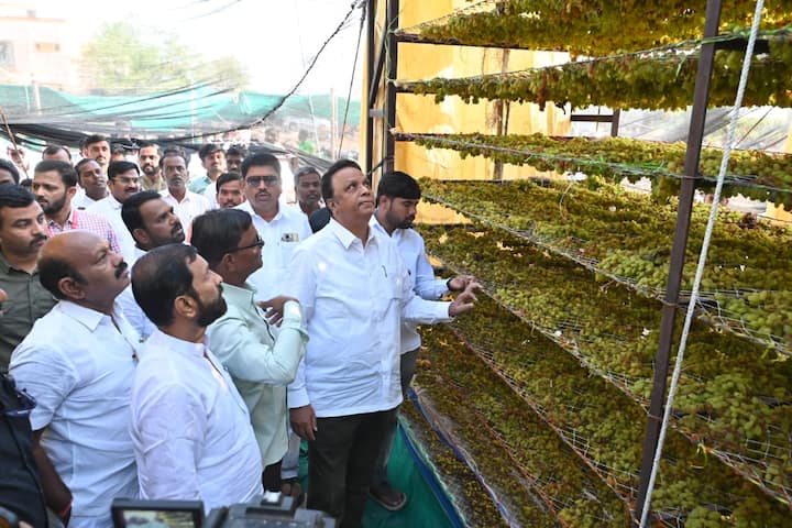 यावेळी उपस्थित अधिकारी निलेश पाटील, (तहसीलदार), कन्याकुमारी भोसले, (मंडल अधिकारी), आरती देशमुख (तलाठी), व्ही एम बोसकर,( कृषी सहाय्यक ) तसेच इतर शासकीय अधिकारी उपस्थित होते. तसेच शशिकांत चव्हाण, भाजपा जिल्हाध्यक्ष, शहाजी पवार, (माजी जिल्हाध्यक्ष ), अविनाश शिरसाट, (पडसाळी गाव अध्यक्ष भाजपा) आदी या दौऱ्यात सहभागी झाले होते.