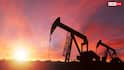Pakistan Oil Production: भारत की तरह क्या पाकिस्तान में भी हैं तेल के कुएं, जानें वहां हर दिन कितना निकलता है क्रूड ऑयल?