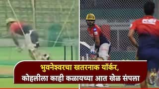 Virat Kohli loses balance as Bhuvneshwar Kumar deadly yorker knocks off his stumps viral video Marathi News