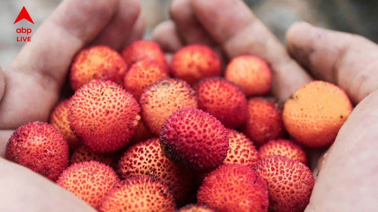 Litchi Health Benefits: গরমের দিনে লিচু খেলে কীভাবে ভাল থাকবে শরীর-স্বাস্থ্য? ভিটামিন সি সমৃদ্ধ এই ফল কেন রাখবেন মেনুতে