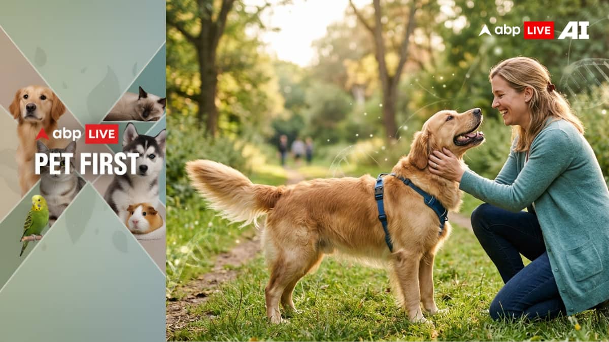 ABP Live Pet First | Why Dogs Love Humans So Deeply? Science Points To A Genetic Link
