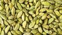 Cardamom Benefits: દરરોજ રાત્રે સૂતા પહેલા એક એલચી ચાવીને મળશે આ 7 સ્વાસ્થ લાભ
