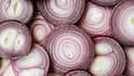 Onion Benefits: વાળથી લઈને ડાયાબિટીસ સુધી દરેક માટે ફાયદાકારક છે કાચી ડુંગળી, જાણો તેના 5 અદભૂત ફાયદા