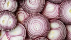 Onion Benefits: વાળથી લઈને ડાયાબિટીસ સુધી દરેક માટે ફાયદાકારક છે કાચી ડુંગળી, જાણો તેના 5 અદભૂત ફાયદા