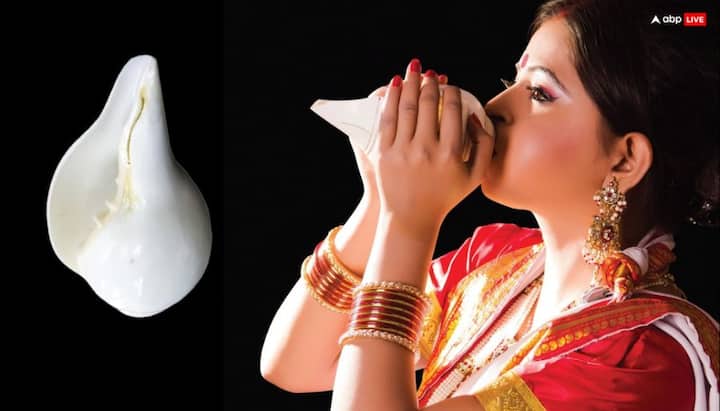 রাম নবমীর দিন বাড়িতে শাঁখ আনা খুবই শুভ। শাঁখ মা লক্ষ্মীর প্রিয়। রামের আরতির সময় সেই শাঁখ বাজান, এর শব্দে বাড়িতে থাকা নেতিবাচক শক্তি দূর হয়। এছাড়াও দুর্ভাগ্য দূরে থাকে।