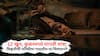 OTT Crime Thriller: 12 खून, कुकरमध्ये मानवी मांस; विकृतीची परिसीमा गाठलीय या चित्रपटाने, हा क्राईम थ्रिलर पाहून झोप उडेल