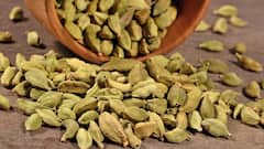 Cardamom Benefits: દરરોજ રાત્રે સૂતા પહેલા એક એલચી ચાવીને મળશે આ 7 સ્વાસ્થ લાભ