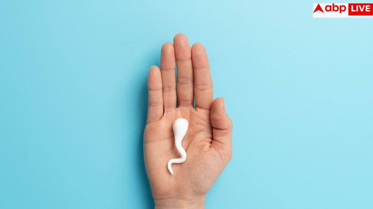 Sperm Survival After Death: पुरुष की मौत के बाद कितने घंटे तक जिंदा रहता है स्पर्म, क्या उससे भी मां बन सकती है महिला?