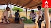 சிவகங்கை சிறையில் காய்கறி அறுவடை: மலிவு விலையில் தரமான காய்கறிகள்... பொதுமக்கள் ஆச்சரியம்!