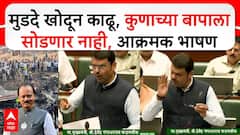 Devendra Fadnavis on Ajit Pawar : घातपाताची शंका असल्यास, आकाश पाताळ एक करु, मुडदाही खणून काढू,