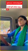 పులివెందుల నియోజకవర్గంలో.. అరటి ట్రక్ నడిపిన షర్మిల
