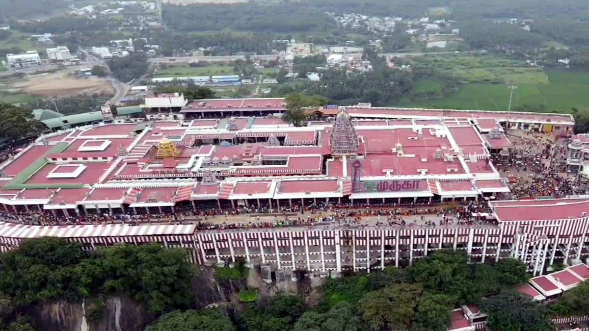 பழனி முருகன் கோயில் உண்டியல்: பக்தர்கள் காணிக்கையாக குவித்தவை! தங்கம், வெள்ளி, ரொக்கம் எவ்வளவு தெரியுமா?