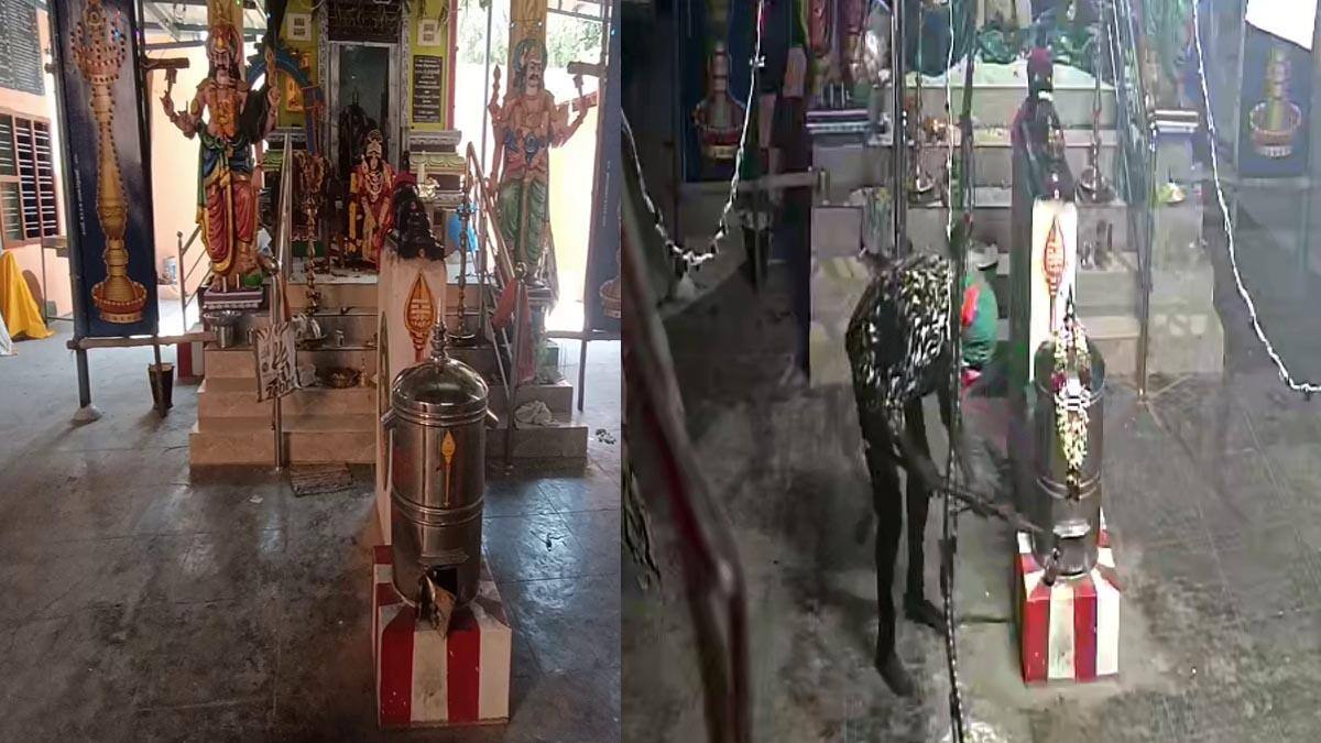 திண்டுக்கல் கோவில்களில் துணிகர கொள்ளை! ஆயுதங்களுடன் புகுந்த மர்ம நபர்கள்: அதிர்ச்சியில் பக்தர்கள், தீவிர விசாரணை!