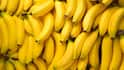 Bananas for Health : అరటిపండు నెలరోజులు రెగ్యులర్‌గా తింటే కలిగే ముఖ్యమైన ప్రయోజనాలు ఇవే