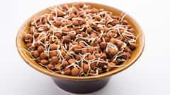 Sprouted Chickpeas: રોજ સવારે ફણગાવેલા ચણા ખાવાથી થાય છે આ 5 ફાયદા