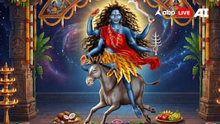 Chaitra Navratri 2026 Day 7: Know Puja Muhurat, Mantras, And All About Worshipping Goddess Kaalratri