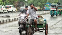 Weather Update: পড়বে বাজ, ঝমঝমিয়ে বৃষ্টির পূর্বাভাস দক্ষিণবঙ্গে, দুর্যোগ থামবে কবে ?
