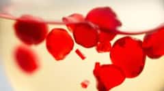 Blood In Urine : ਜੇਕਰ ਪਿਸ਼ਾਬ 'ਚ ਆ ਰਿਹਾ ਖੂਨ ਤਾਂ ਹੋ ਸਕਦਾ ਹੈ ਕੈਂਸਰ , ਤੁਰੰਤ ਕਰਵਾਓ ਇਹ ਟੈਸਟ