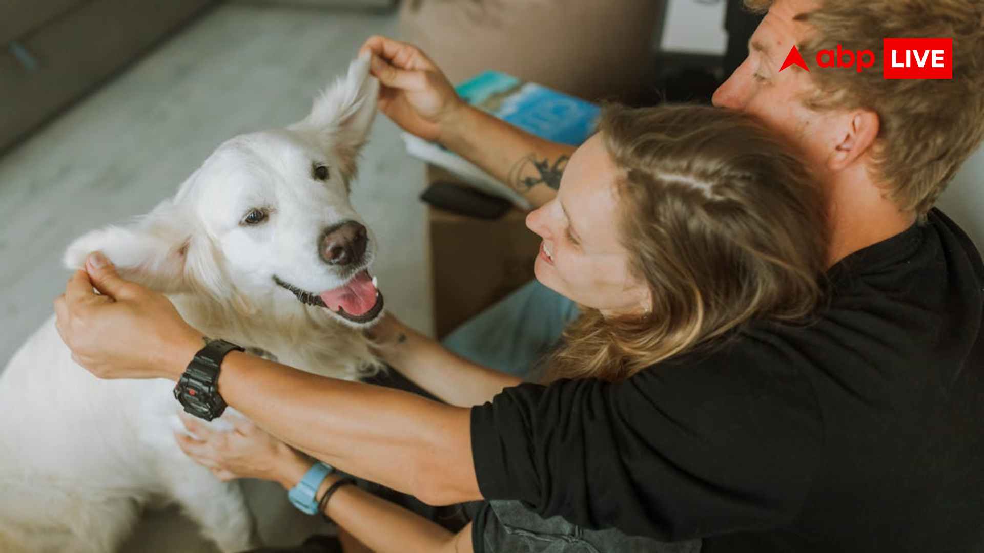 Pet Parenting का नया ट्रेंड 'DINKWAD' : बेंगलुरु कपल अपने डॉग पर हर महीने खर्च करता है 15 हजार