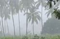 Gujarat Rain: વેસ્ટર્ન ડિસ્ટર્બન્સના કારણે ભરઉનાળે બે દિવસ વરસાદની આગાહી, જાણો હવામાનનું અપડેટ