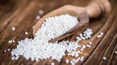 Sabudana Benefits: સાબુદાણામાં કયું વિટામિન જોવા મળે છે? જાણો તેના આરોગ્ય લાભ