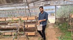 Pune Biogas: गॅस टंचाईवर बायोगॅस ठरतंय वरदान; महिन्याला 2 गॅस, वर्षाला 24 हजारांची बचत, सरकारकडूनही मिळतंय अनुदान