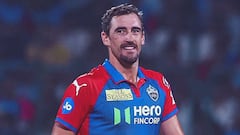 ఢిల్లీ క్యాపిటల్స్ ఫ్యాన్ వర్సెస్ అలిస్సా హీలీ: స్టార్క్ రాకపై సోషల్ మీడియాలో రచ్చ.. అసలేమైందంటే?