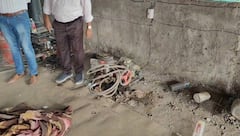 Palghar : पालघरमध्ये घरगुती LPG चा काळाबाजार करणाऱ्यांवर छापा,  91 भरलेले सिलेंडर आणि 75 रिकामे सिलेंडर हाती, कारवाईनं खळबळ