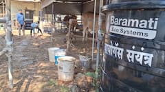 Pune Biogas: गॅस टंचाईवर बायोगॅस ठरतंय वरदान; महिन्याला 2 गॅस, वर्षाला 24 हजारांची बचत, सरकारकडूनही मिळतंय अनुदान
