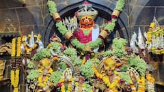 Jejuri: सदानंदाचा येळकोट! जेजुरीच्या खंडेरायाच्या गाभाऱ्यात द्राक्षाची आकर्षक सजावट, कामदा एकादशीनिमित्त सजला मल्हारीचा दरबार!