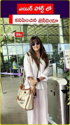 ఎయిర్ పోర్ట్ లో  కనిపించిన జెనీలియా